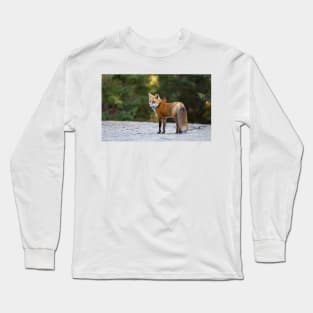 Red Fox - Algonquin Park, Canada Long Sleeve T-Shirt